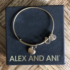 Alex and Ani Apple bracelet